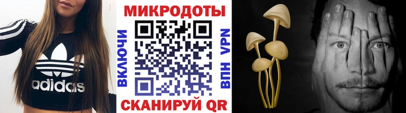 Галлюциногенные грибы ЛСД Щёлкино